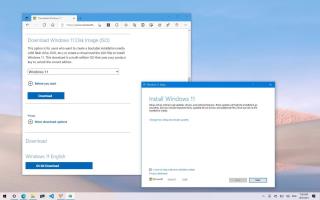 メディア作成ツールを使用しない Windows 11 ISO ファイルの直接ダウンロード