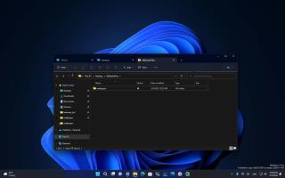 يقوم Windows 11 بإحضار علامات تبويب لـ File Explorer رسميًا