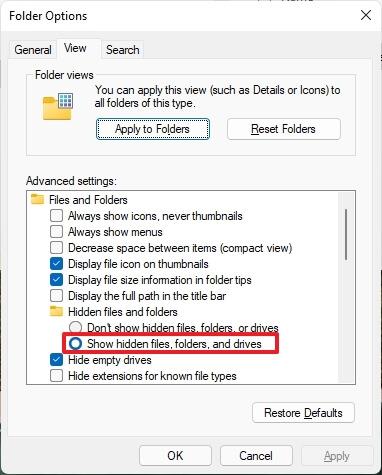 How to show hidden files on Windows 11