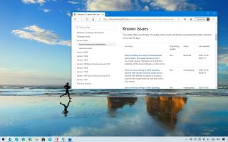 WINDOWS 10 20H2 の既知の問題によるインストールのブロック