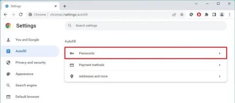 Bagaimana untuk memadamkan entri autolengkap pada Google Chrome