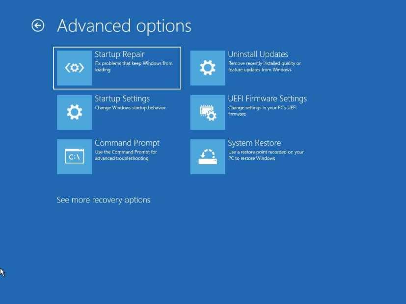 How to access Advanced Startup Options on Windows 11