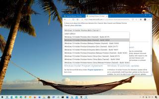 Windows 10 20H2 の ISO ファイルをダウンロードする方法