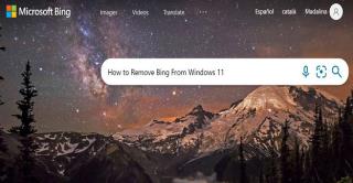 Cómo quitar Bing Search de Windows 11