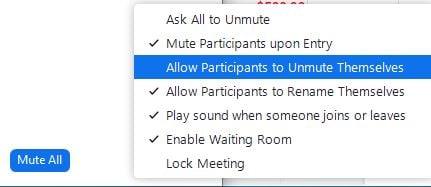 Cum să dezactivați sunetul tuturor simultan pe Zoom