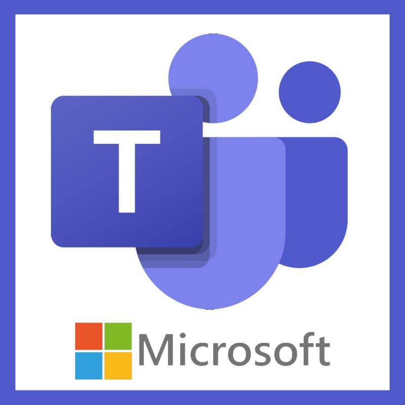 Microsoft Teams non può aggiungere un ospite?  Prova queste soluzioni