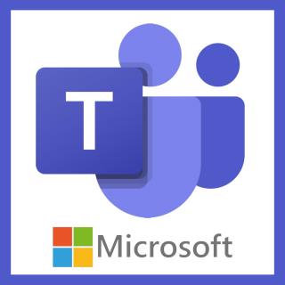 Microsoft Teams는 게스트를 추가할 수 없습니까? 이 솔루션을 사용해 보세요