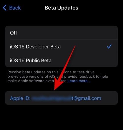 如何為 iOS Beta 更新選擇不同的 Apple ID