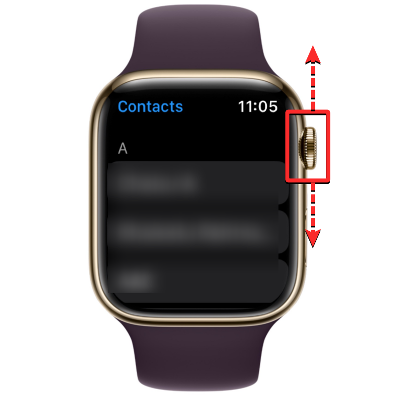 Kontakte werden nicht mit der Apple Watch synchronisiert?  Wie repariert man