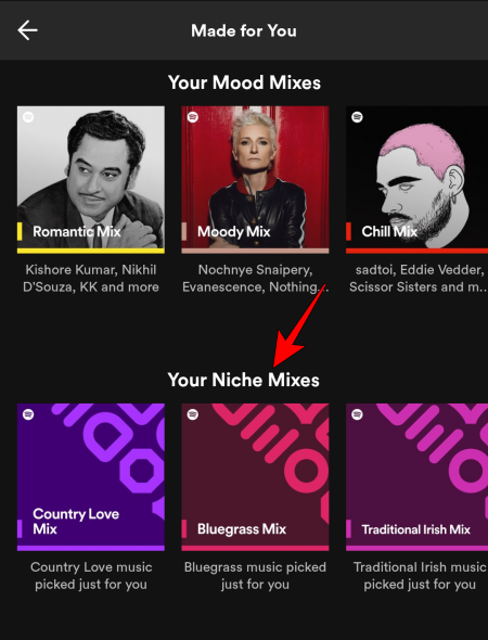 วิธีค้นหา Niche Mix ใน Spotify บนพีซีหรือโทรศัพท์