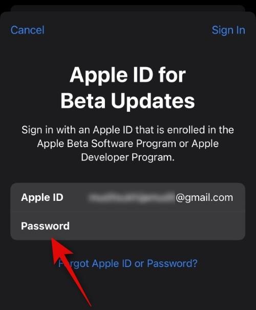 如何為 iOS Beta 更新選擇不同的 Apple ID