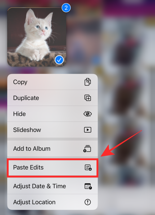 วิธีคัดลอกการแก้ไขในแอพ Photos บน iPhone บน iOS 16