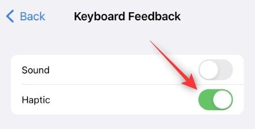 So aktivieren oder deaktivieren Sie Vibrationen auf der Tastatur auf dem iPhone