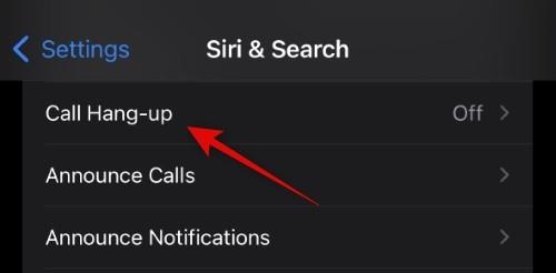 วิธีรับ Siri บน iPhone 14 และใช้งาน