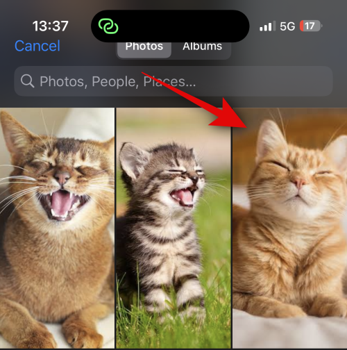 iOS 17を搭載したiPhoneで誰かへの連絡先ポスターを作成する方法