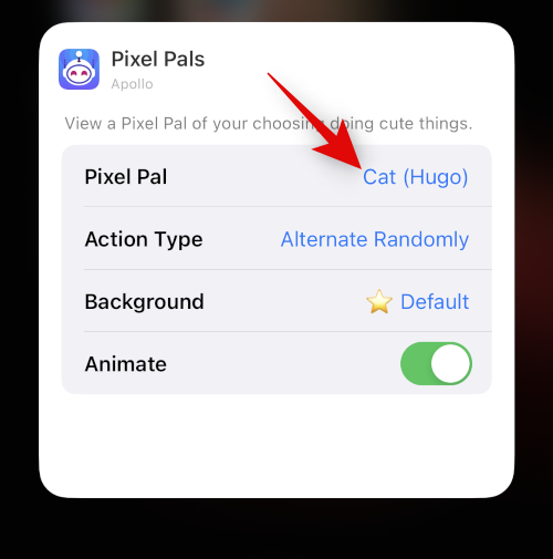 iPhone 14 Pro および Pro Max で Pixel Pals を入手する方法