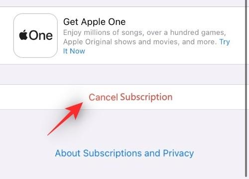 如何取消 iPhone 上的應用程序訂閱：您需要知道的一切