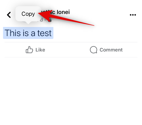 วิธีคัดลอกและวางบน Facebook บน iPhone [2023]