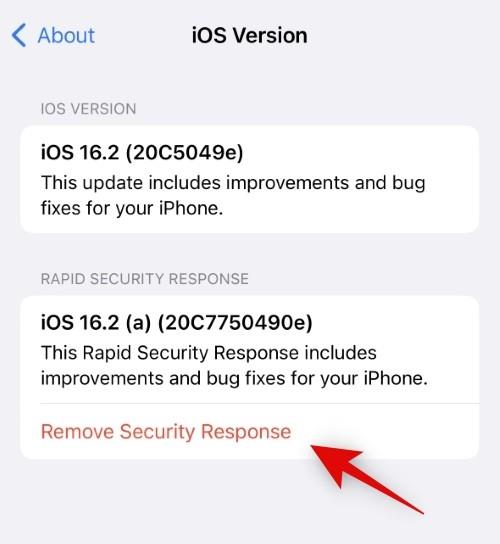 迅速なセキュリティ対応: iPhone でセキュリティ アップデートをアンインストールする方法とその理由
