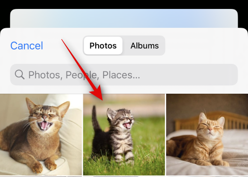 Comment créer des autocollants Live à l'aide de vos photos sur iOS 17 et supérieur