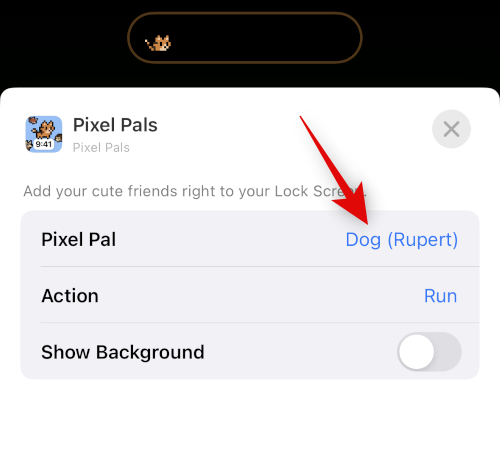 So erhalten Sie Pixel Pals auf dem iPhone 14 Pro und Pro Max