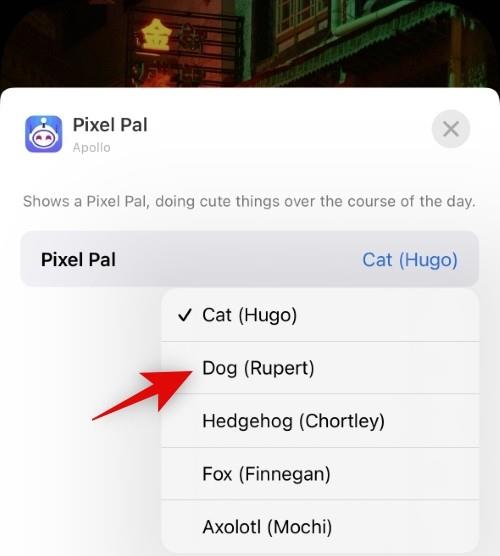 So erhalten Sie Pixel Pals auf dem iPhone 14 Pro und Pro Max