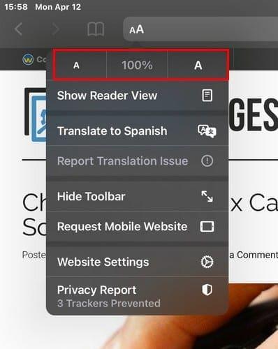 How to Increase the Size of Text on Any Website on iPad
