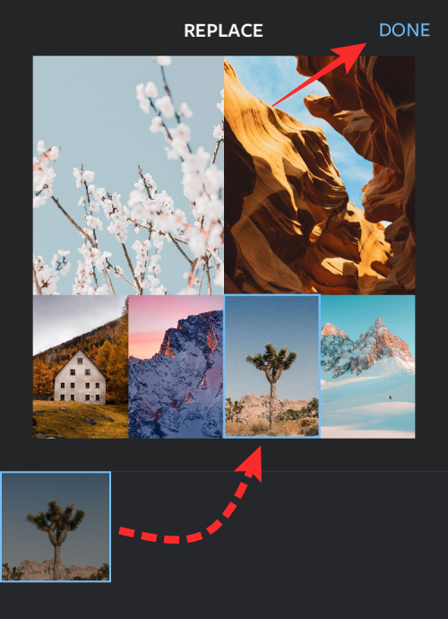 Comment créer un collage de photos sur iPhone : 4 méthodes expliquées