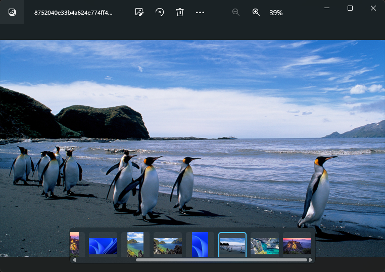 Comment télécharger des images de fond d’écran Windows Spotlight sur votre PC