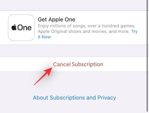如何取消 iPhone 上的應用程序訂閱：您需要知道的一切