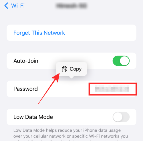 如何在 iOS 16 上的 iPhone 上查看和共享 WiFi 密碼