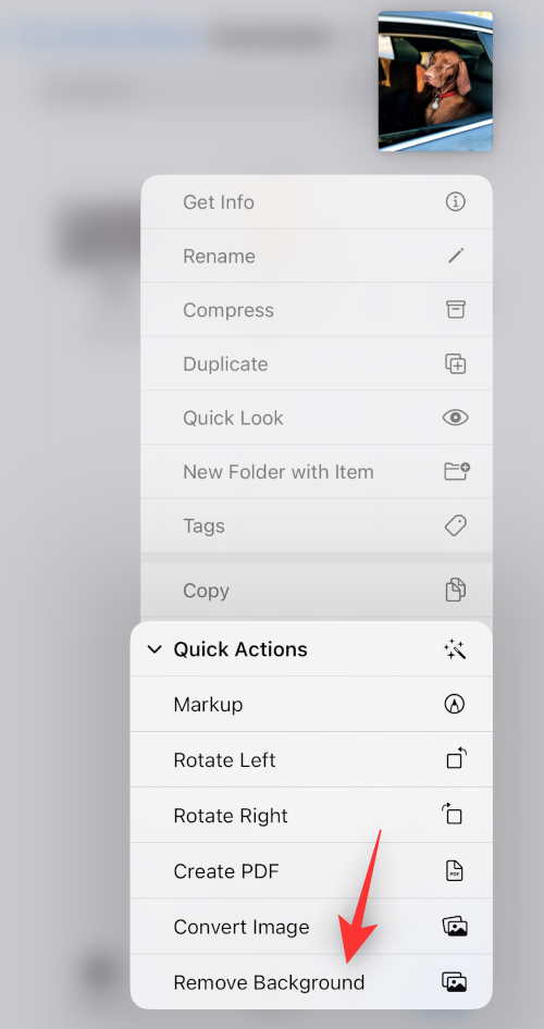 iOS 16 照片剪切：創建剪切的 6 種主要方法以及粘貼和使用它的 4 種方法