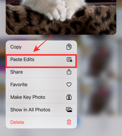 Comment copier les modifications dans l'application Photos sur iPhone sous iOS 16