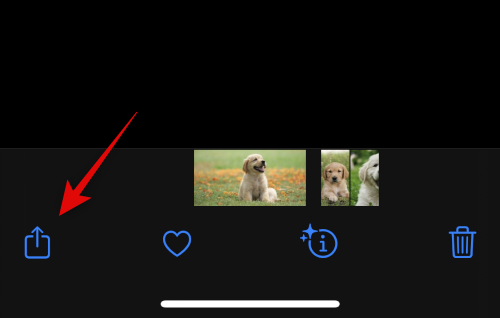 IOS 16: So erstellen Sie Aufkleber aus Fotos