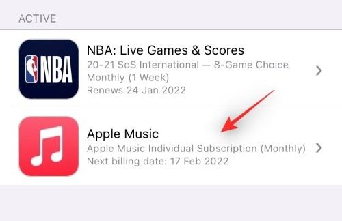 So kündigen Sie App-Abonnements auf dem iPhone: Alles, was Sie wissen müssen