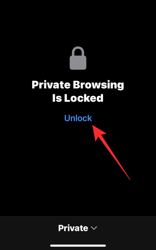 iPhone의 Safari에서 개인정보 보호 브라우징 모드를 비활성화하는 방법 [2023]