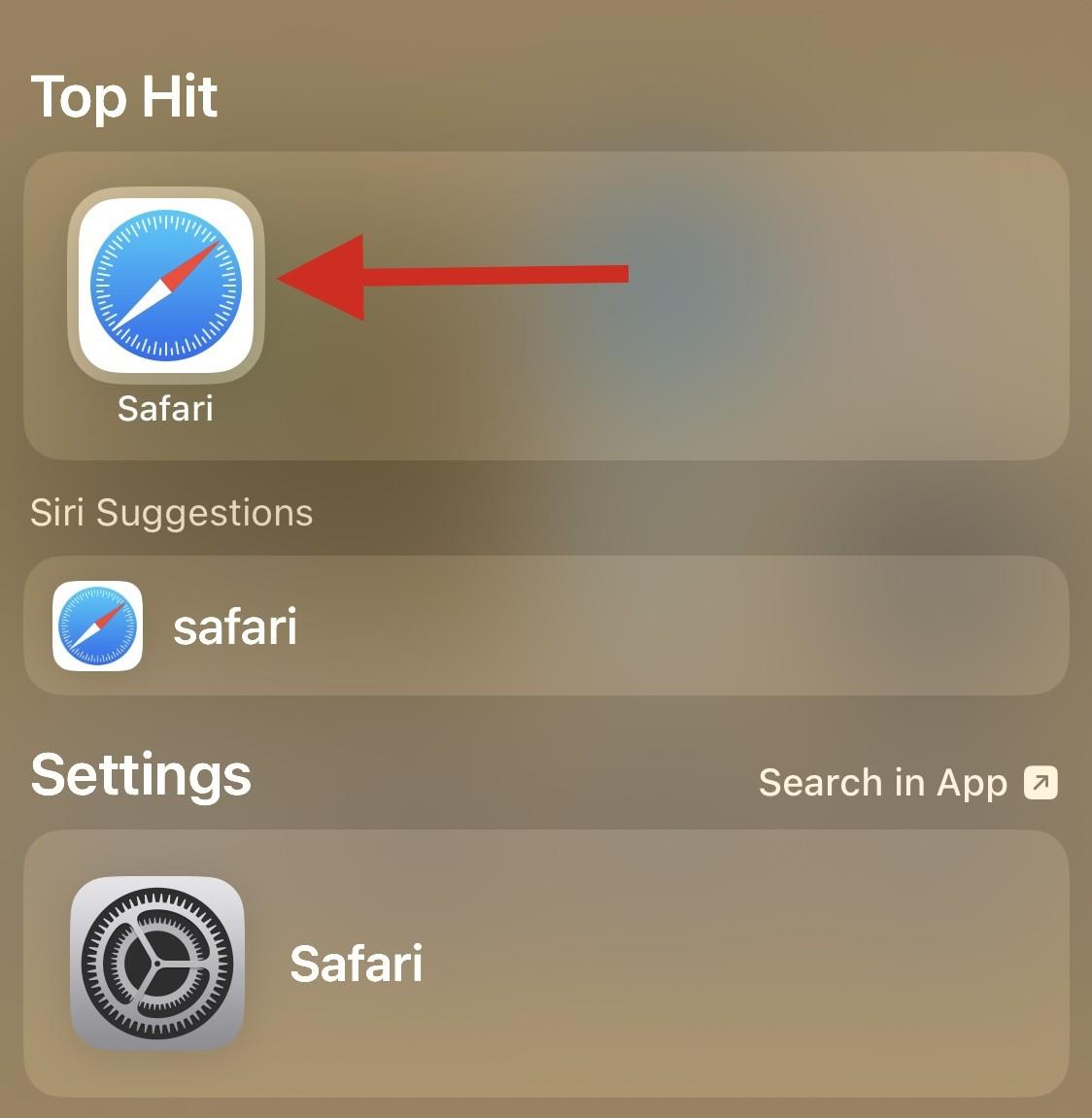 8 วิธีในการติดตั้ง Safari บน iPhone ใหม่ [2023]