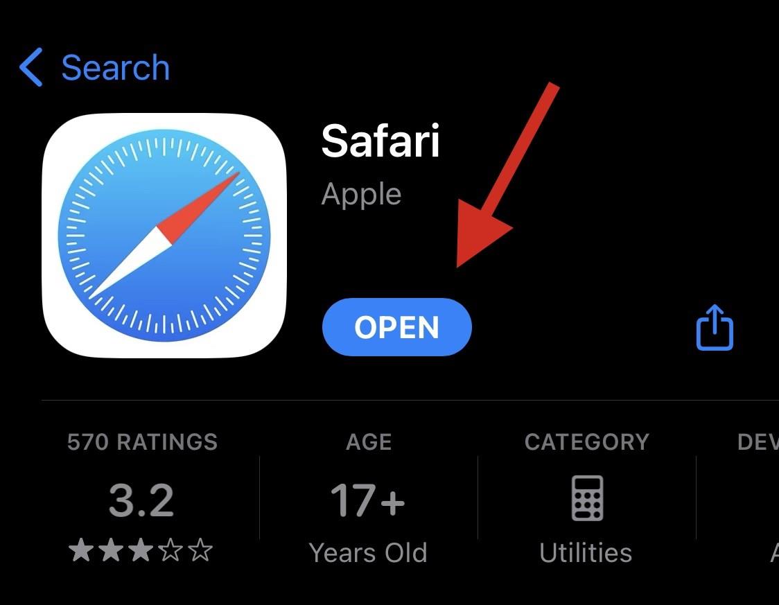 在 iPhone 上重新安裝 Safari 的 8 種方法 [2023]