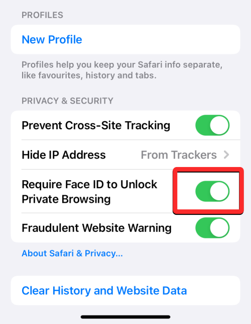 So benötigen Sie Face ID, um das private Surfen in Safari unter iOS 17 freizuschalten