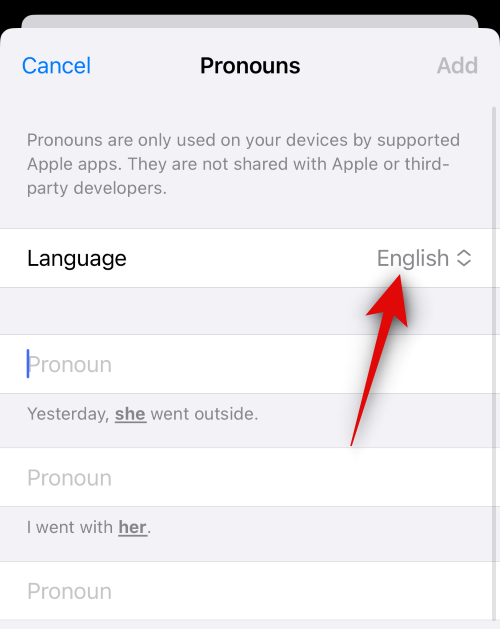 So fügen Sie unter iOS 17 Pronomen für einen Kontakt hinzu