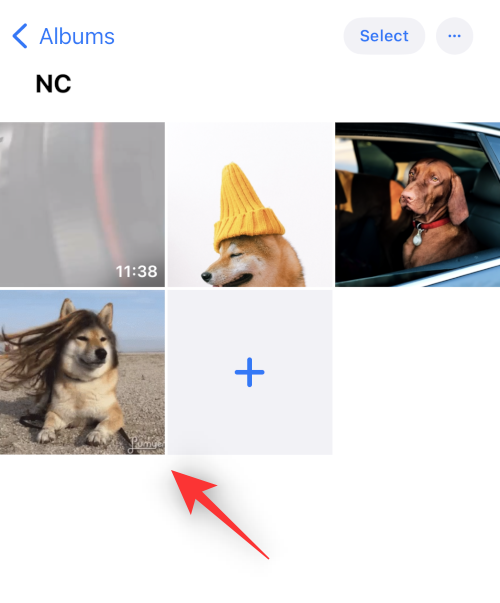 IOS 16 사진 컷아웃: 컷아웃을 만드는 6가지 방법과 붙여넣고 사용하는 4가지 방법