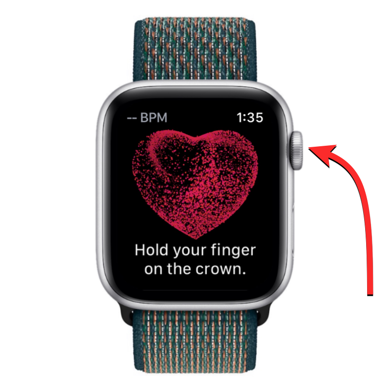 Apple Watch에 ECG 기록: 단계별 가이드