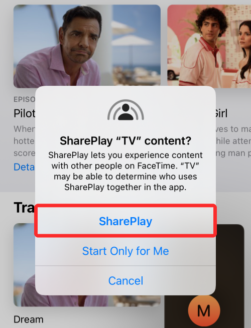 解決 SharePlay 無法工作問題的 14 種方法