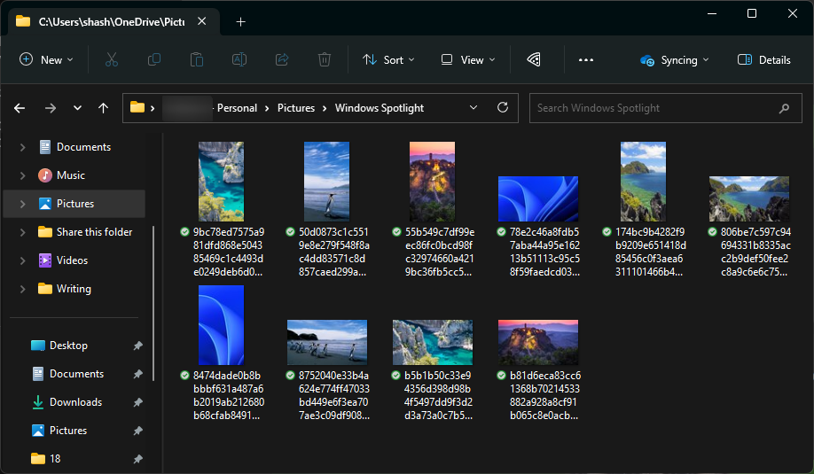 Comment télécharger des images de fond d’écran Windows Spotlight sur votre PC