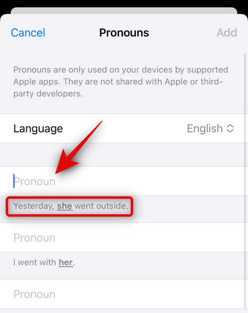So fügen Sie unter iOS 17 Pronomen für einen Kontakt hinzu