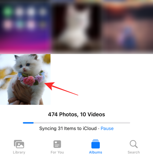 iOS 16のiPhoneの写真アプリで編集内容をコピーする方法