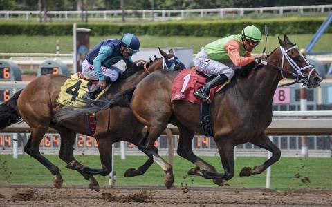 วิธีดู Kentucky Derby ปี 2023 ออนไลน์โดยไม่ต้องใช้สายเคเบิล