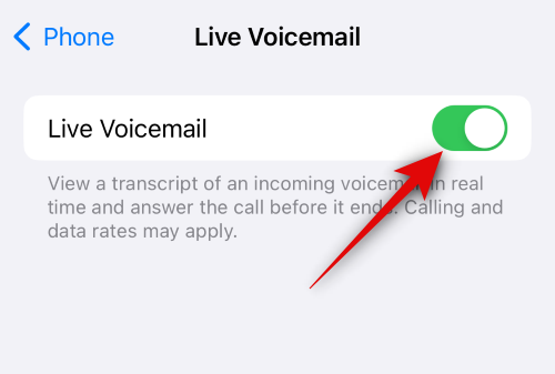 iOS 17 のライブ ボイスメールとは何ですか、またそれを有効にして使用する方法