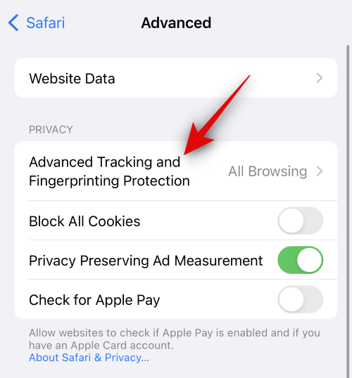 วิธีใช้ “การติดตามขั้นสูงและการป้องกันลายนิ้วมือ” สำหรับการท่องเว็บทั้งหมดบน iPhone บน iOS 17
