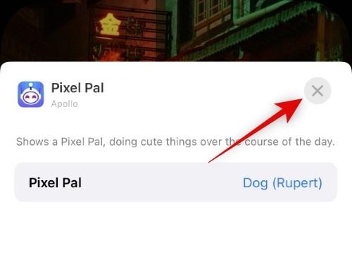 วิธีรับ Pixel Pals บน iPhone 14 Pro และ Pro Max